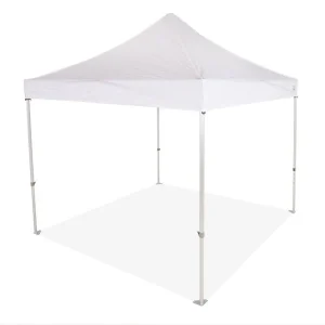 10 x 100 tent